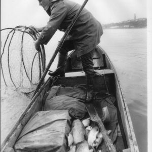 Saca Riblji Restoran Radecki