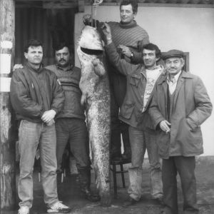 Untitled-1 Riblji Restoran Radecki