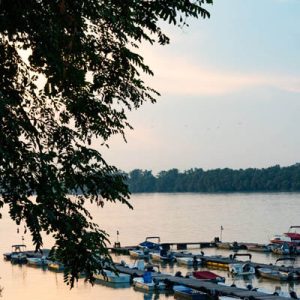 Marina Radecki - 003