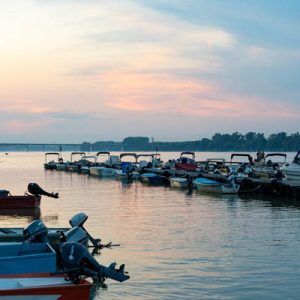 Marina Radecki - 005